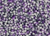 3.4mm Drop Miyuki Japanese Seed Beads - White Opaque Funky Purple