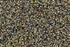 8/0 Miyuki Japanese Seed Beads with Czech Coating - Crystal Marea