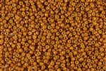 11/0 Miyuki Japanese Seed Beads - Dyed Opaque Spiced Pumpkin #1479