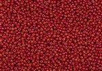 11/0 Miyuki Japanese Seed Beads - Dyed Opaque Cranberry Luster #2534L