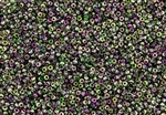 11/0 Miyuki Japanese Seed Beads with Czech Coating - Crystal Magic Orchid