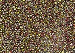 11/0 Miyuki Japanese Seed Beads with Czech Coating - Crystal Magic Apple