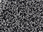 11/0 Miyuki Japanese Seed Beads with Czech Coating - Black Silver Metallic