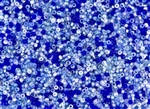 11/0 Miyuki Japanese Seed Beads - Ocean Blues Mix