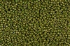 15/0 Miyuki Japanese Seed Beads - Dyed Opaque Olive Green Luster #2539L