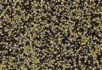15/0 Miyuki Japanese Seed Beads with Czech Coating - Black Amber/Gold Matte
