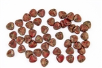 Czech Glass Pressed 8/7mm Rose Petals - Opaque Red Copper Picasso Matte
