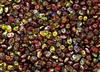 SuperDuo 2/5mm Two Hole Czech Glass Seed Beads - Red Yellow Marea SD744