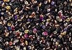 SuperDuo 2/5mm Two Hole Czech Glass Seed Beads - Jet Black Blue Iris Copper SD751
