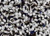 SuperDuo 2/5mm Two Hole Czech Glass Seed Beads - Opaque White Blue Iris SD844