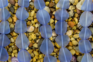 Strand of New 2013 Sea Glass Flat Freeform Beads - Light Sapphire