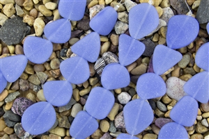 Strand of New 2013 Sea Glass Flat Freeform Beads - Opaque Sky Blue