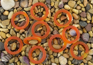 5 x Beach Sea Glass 27mm Bottle-Neck Style Rings - Tangerine Orange