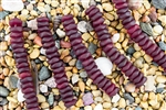 Strand of Sea Glass Button Freeform Beads - Ruby / Red