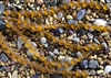 LONG Strand of Sea Glass 12mm Puffed Coin Beads - Amber