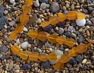 Strand of Sea Glass Flat Freeform Beads - Hyacinth Orange