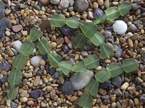 Strand of Sea Glass Flat Freeform Beads - Shamrock Green (Bottle Green)