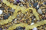 Strand of Sea Glass Flat Square Nugget Beads - Lemon / Yellow