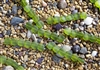 Strand of Sea Glass Flat Square Nugget Beads - Lime Green