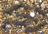 Strand of Sea Glass Flat Square Nugget Beads - Smoky Quartz Grey