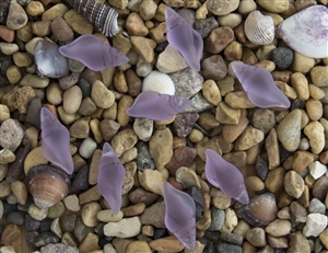 1 Sea Glass Mini Conch Shell Pendant - Periwinkle (Color Changing)