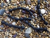Strand of Sea Glass Nugget Beads - Black