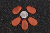 5 x Beach Sea Glass Pebble Pendant Beads 33x20mm - Tangerine