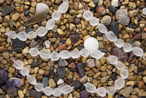 Strand of Sea Glass Small Nugget Beads - Crystal Clear