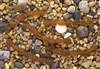Strand of Sea Glass Small Nugget Beads - Dark Amber