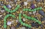 Strand of Sea Glass Small Nugget Beads - Opaque Spring Green