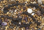 Strand of Sea Glass Small Nugget Beads - Smoky Quartz Grey