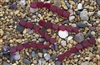 Strand of Sea Glass Small Flat Freeform Beads - Ruby / Red