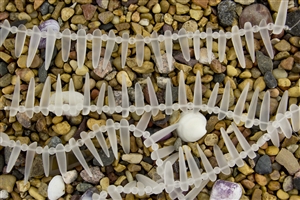Strand of Sea Glass Tusk / Dagger Beads - Crystal Clear