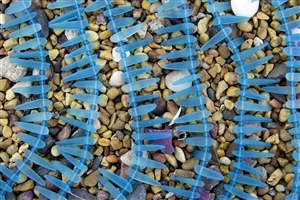 Strand of Sea Glass Tusk / Dagger Beads - Pacific Blue