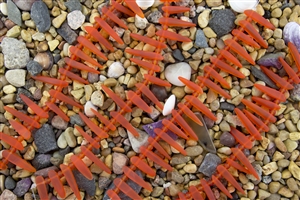 Strand of Sea Glass Tusk / Dagger Beads - Tangerine / Orange
