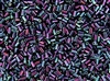 #1 Bugle 3mm Japanese Toho Glass Beads - Higher Metallic Dragonfly #505