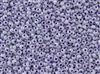 3MM Magatama Toho Japanese Seed Beads - Purple Lavender Ceylon Pearl #922