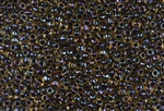 6/0 Toho Japanese Seed Beads - Black Lined Topaz Rainbow #245