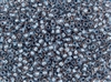 6/0 Toho Japanese Seed Beads - Metallic Blue Lined Champagne Mink #288