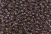 6/0 Toho Japanese Seed Beads - Root Beer Gold Luster #454