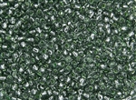 6/0 Toho Japanese Seed Beads - Silver Lined Prairie Green #2202