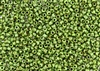 6/0 Toho Japanese Seed Beads - Hybrid Opaque Mint Green Picasso #Y321