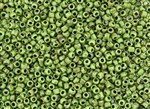 6/0 Toho Japanese Seed Beads - Hybrid Frosted Opaque Mint Green Picasso #Y321F