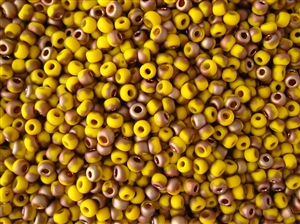 6/0 Toho Japanese Seed Beads - Hybrid Frosted Yellow Apollo #Y853F