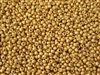 8/0 Toho Japanese Seed Beads - PermaFinish Gold Metallic Matte #PF557F