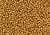 8/0 Toho Japanese Seed Beads - PermaFinish Old Gold Metallic #PF591