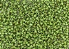 8/0 Toho Japanese Seed Beads - Hybrid Opaque Mint Green Picasso #Y321