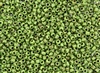 8/0 Toho Japanese Seed Beads - Hybrid Frosted Opaque Mint Green Picasso #Y321F