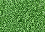 11/0 Toho Japanese Seed Beads - Shamrock Green Opaque Matte #47DF