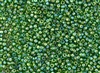 11/0 Toho Japanese Seed Beads - Kelly Green Transparent Rainbow #167